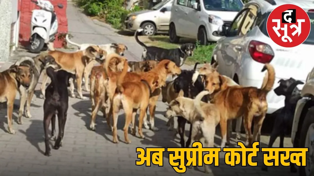 supreme court order on dog bite