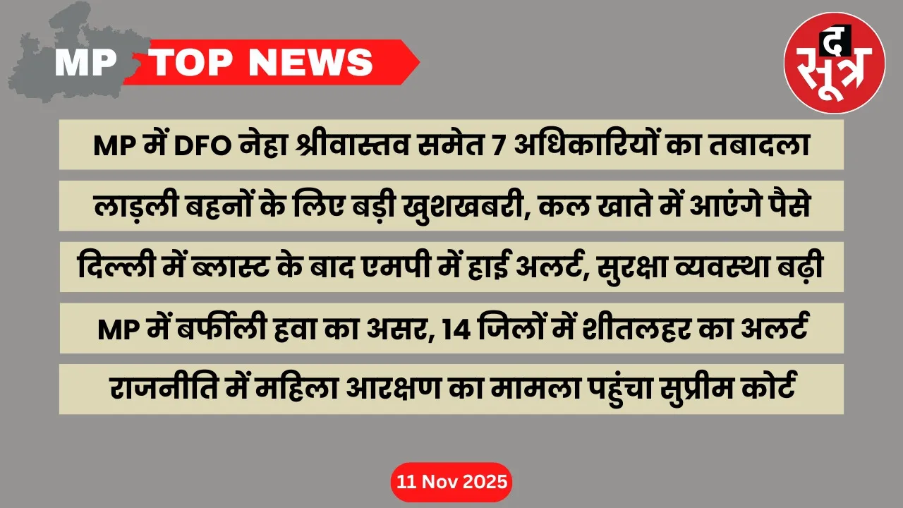 mp-top-news-11-november 2025