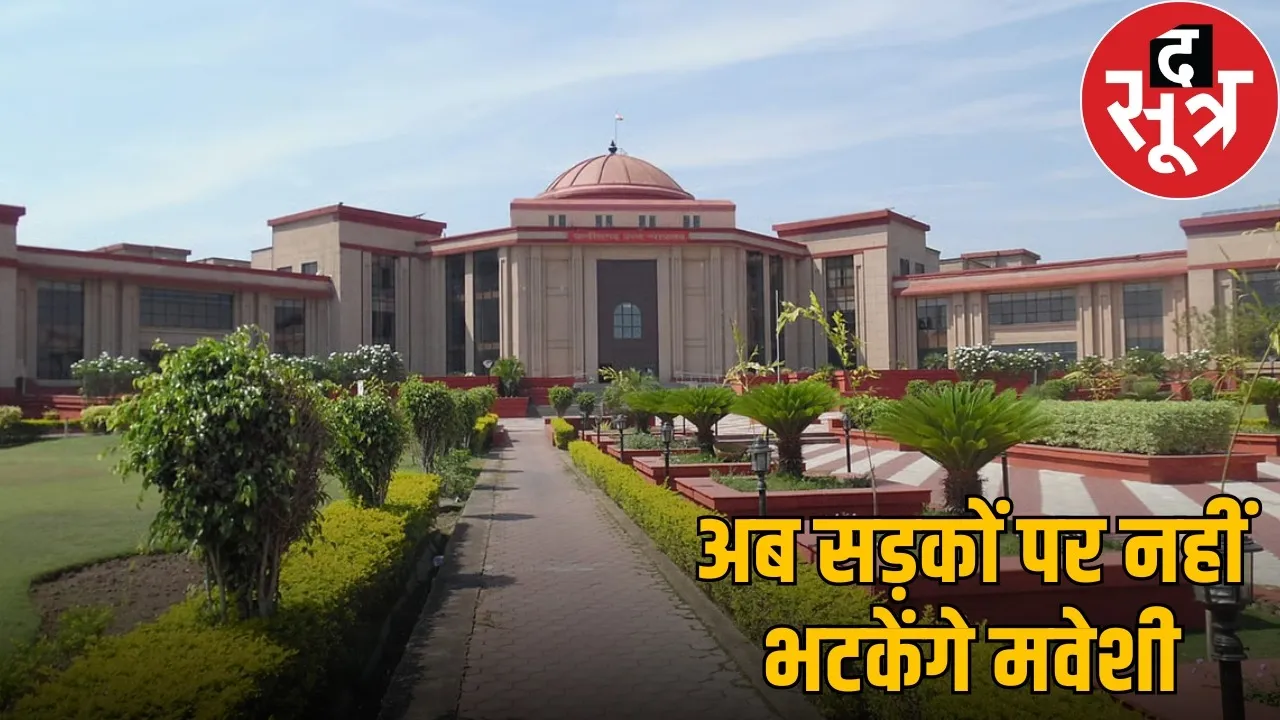 supreme-court-animal-road-accidents-affidavit-chhattisgarh-high-court-order the sootr