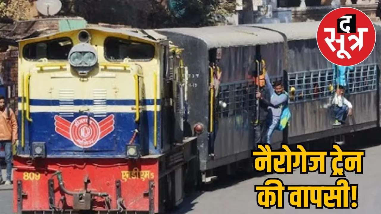 india-narrow-gauge-train