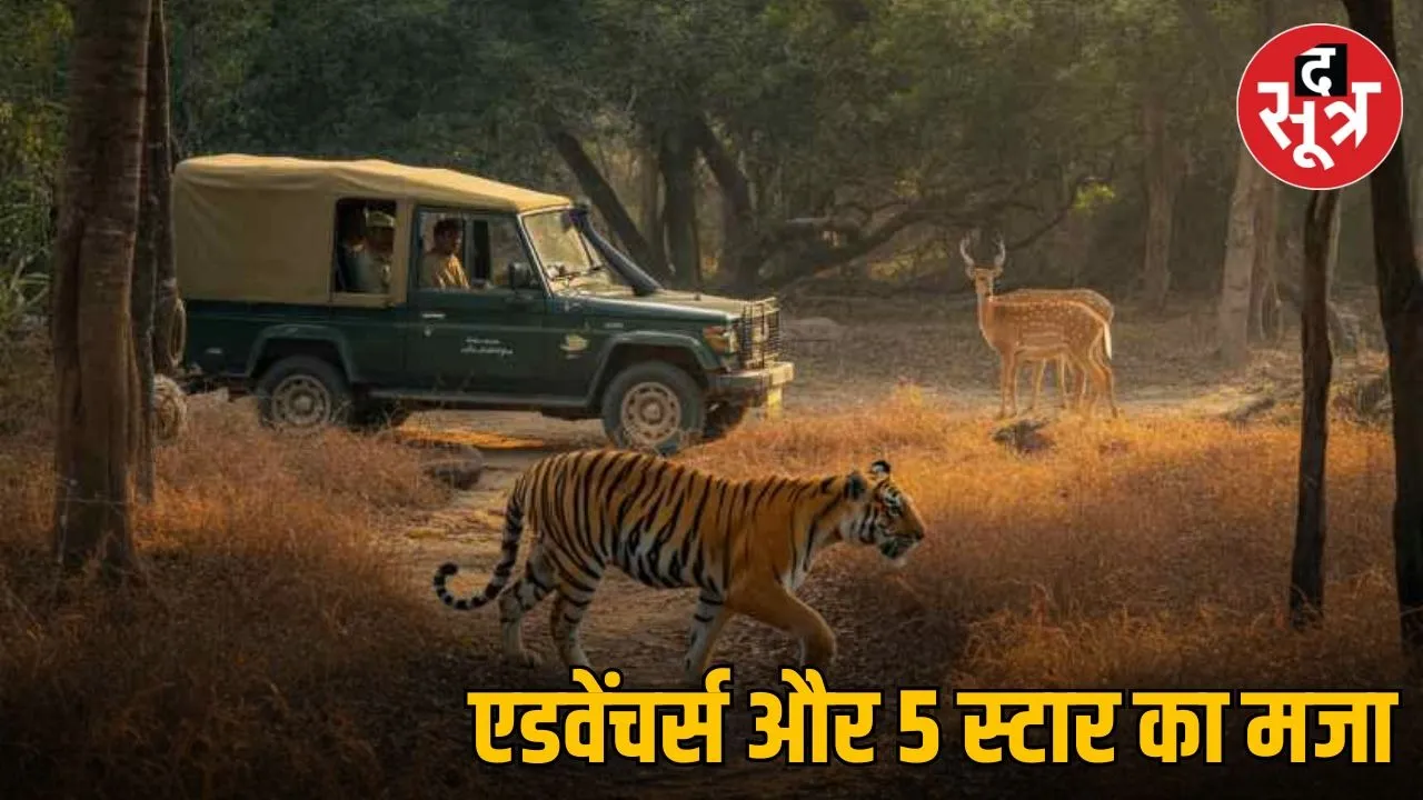 kuno forest madhya-pradesh-kuno-forest-retreat-2025