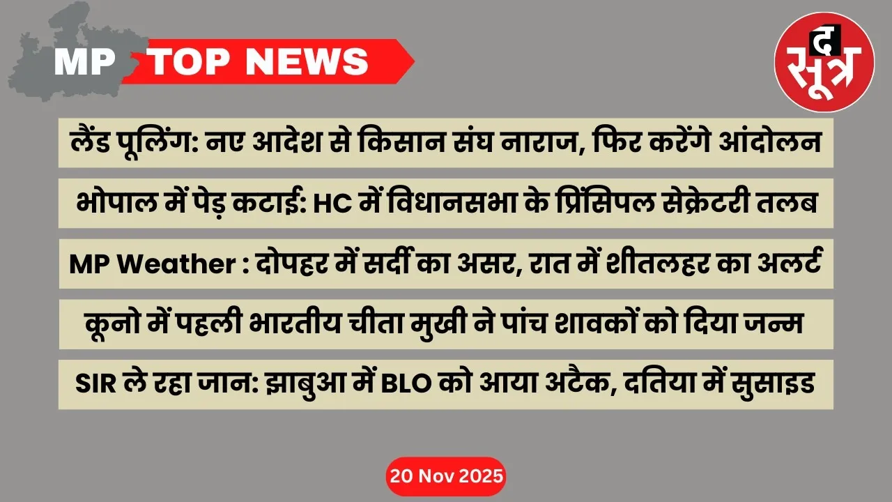 mp top news 20 november