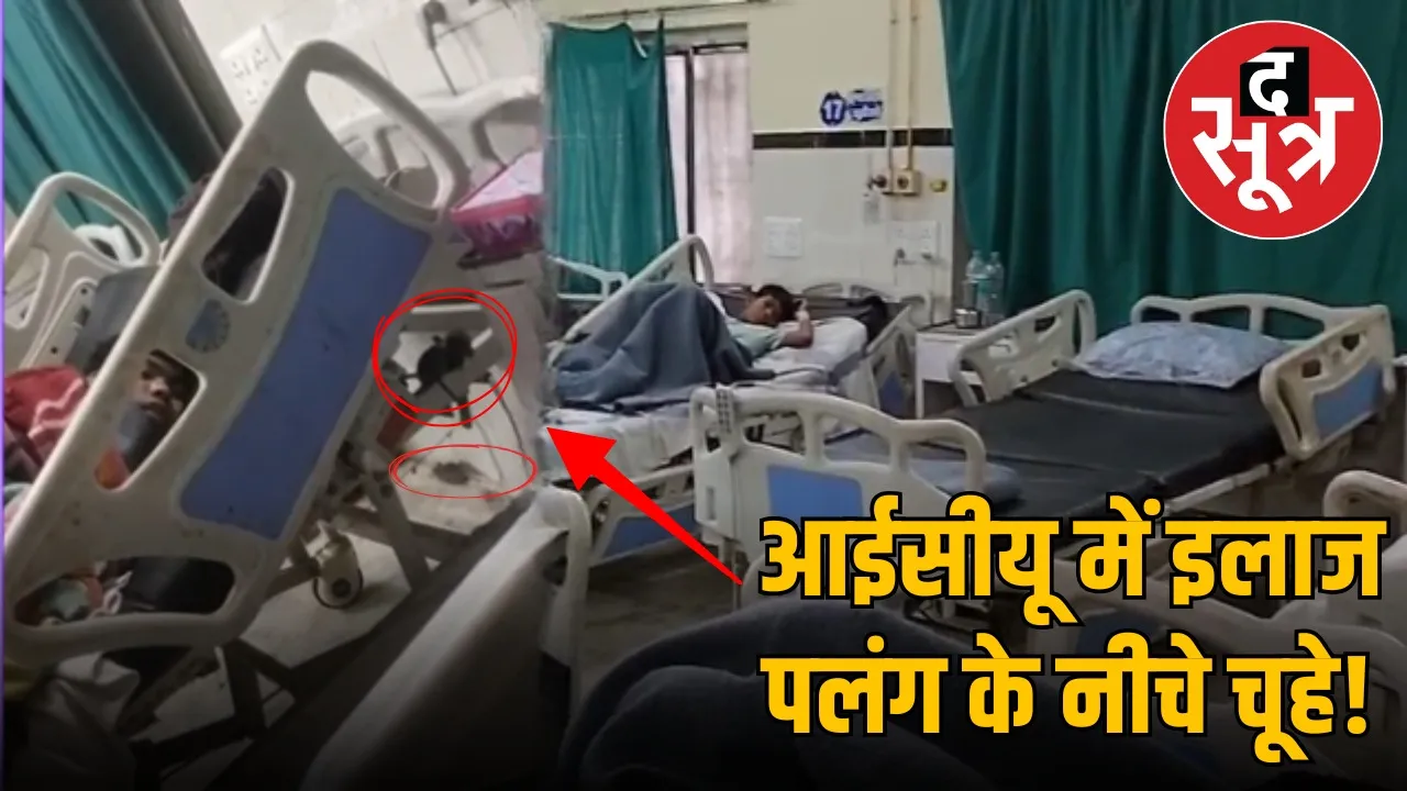jabalpur-district-hospital-mice-viral-video