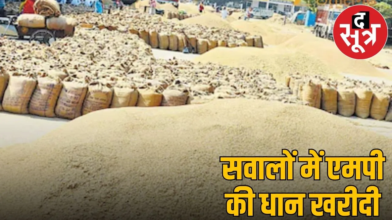 Irregularities in purchasing paddy on MSP in MP