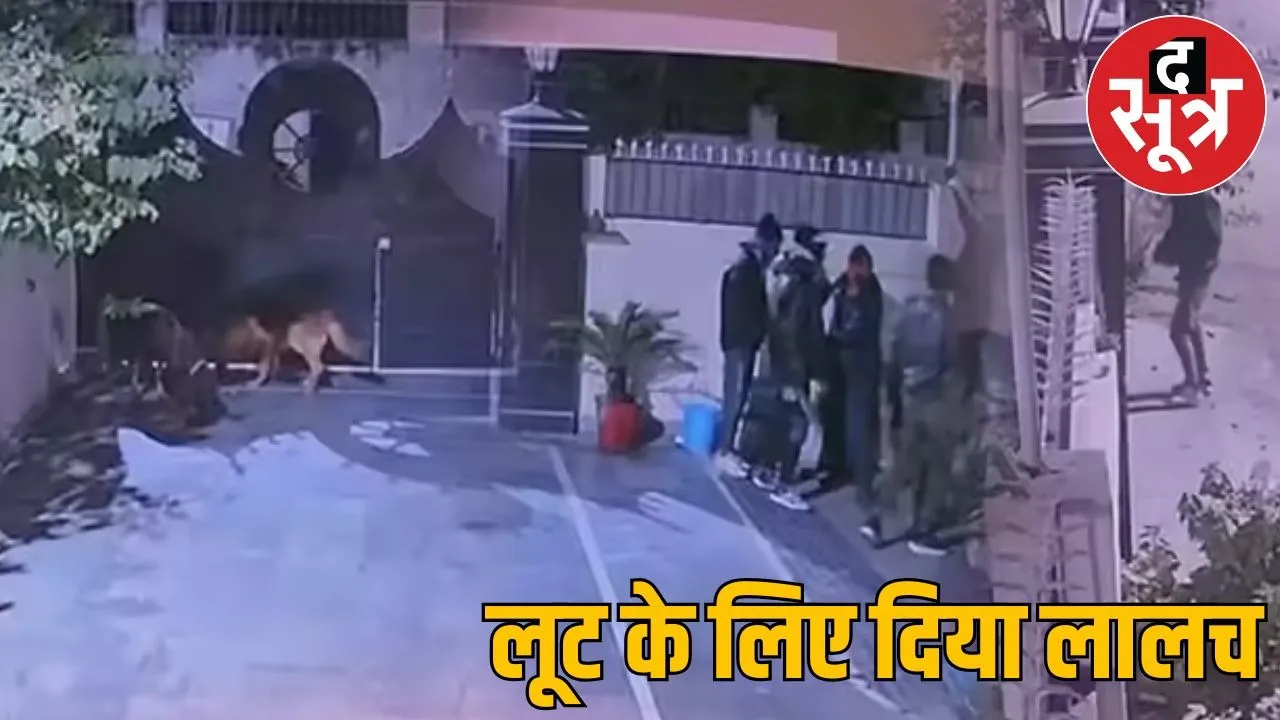 Loot of Rs 18 lakh in Bhopal by feeding meat to pet dogs