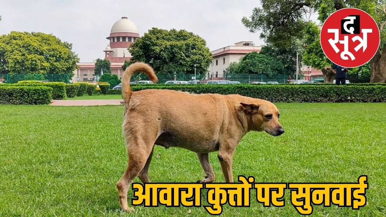 dog news in suprem court