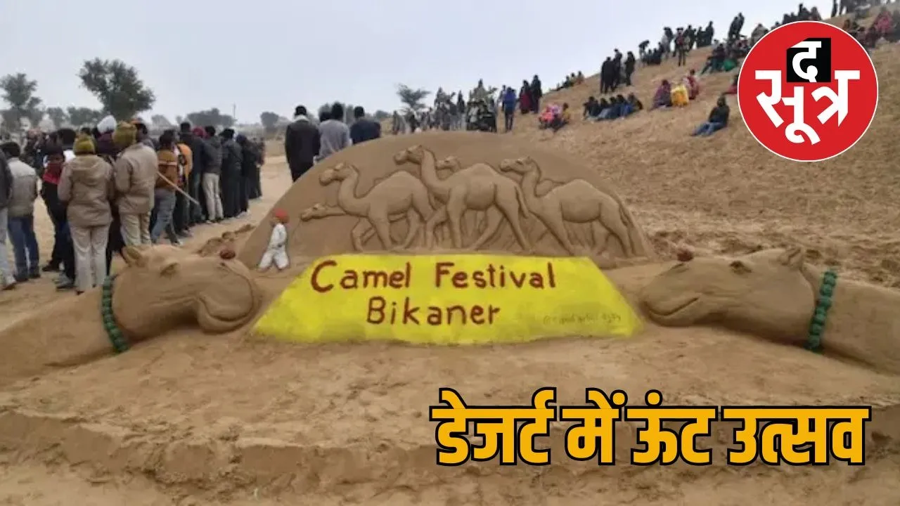 internation camel festival