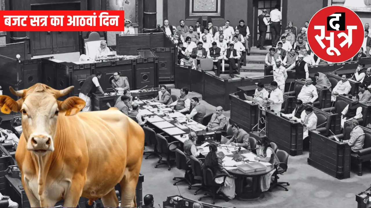 mp assembly budget session stray cattle fire safety issues bhopal