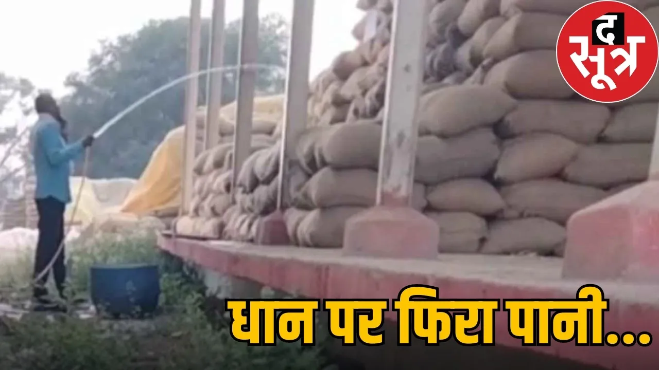 raipur-arang-paddy-soaking-water-video-viral-4-employees-dismissed