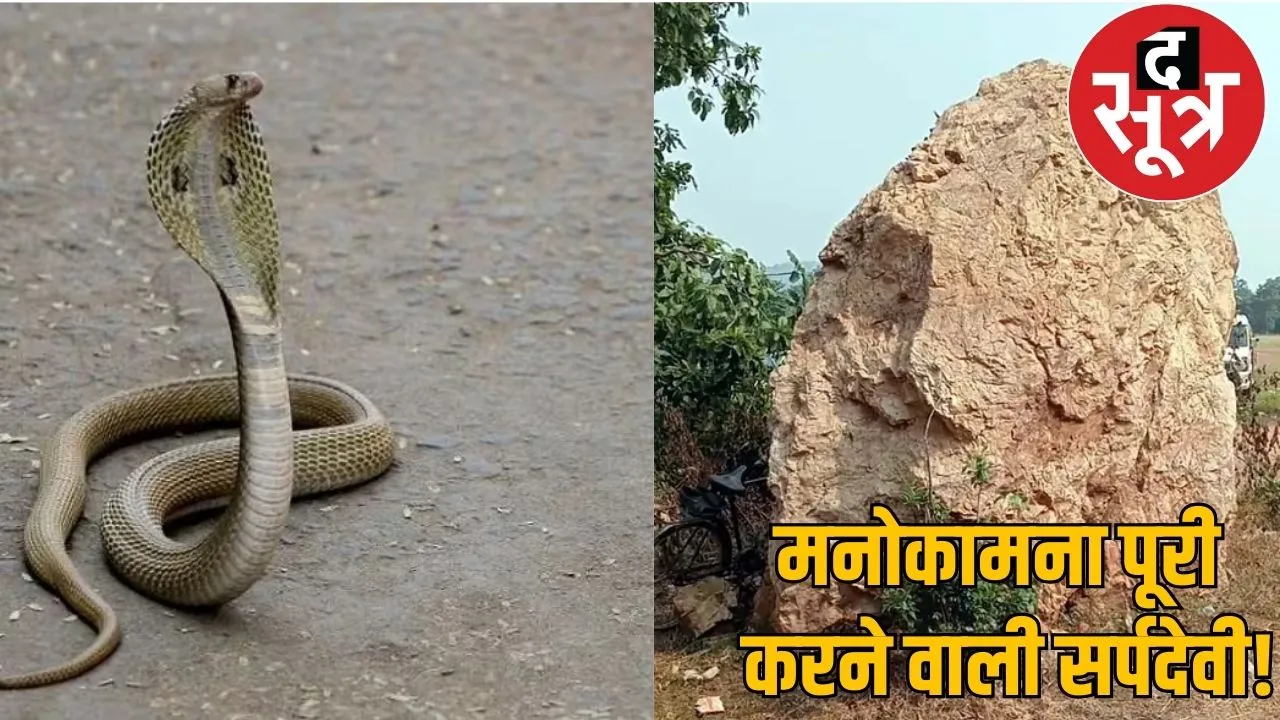 Serpent pieces turned stones snake goddess fulfilling wishes the sootr