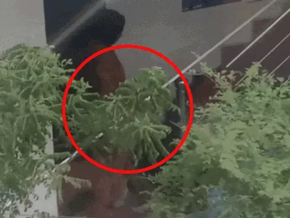 एएसआई के घर पर पपी से क्रूरता