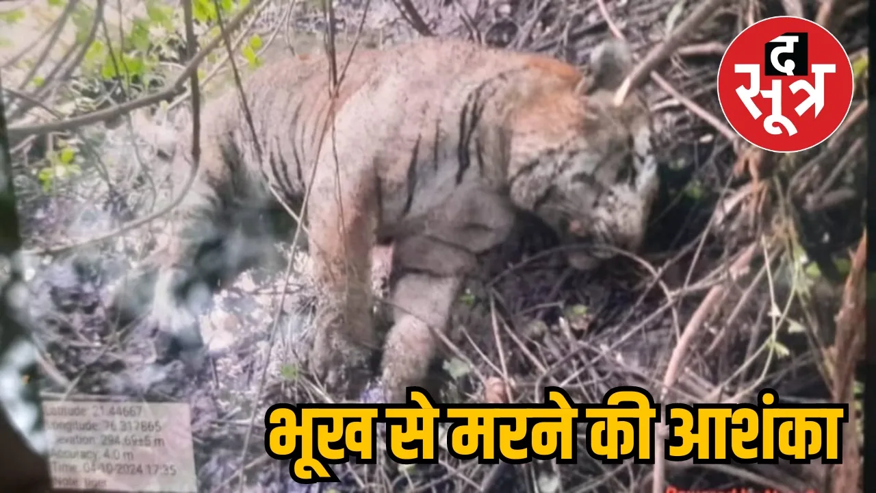 Burhanpur forest 