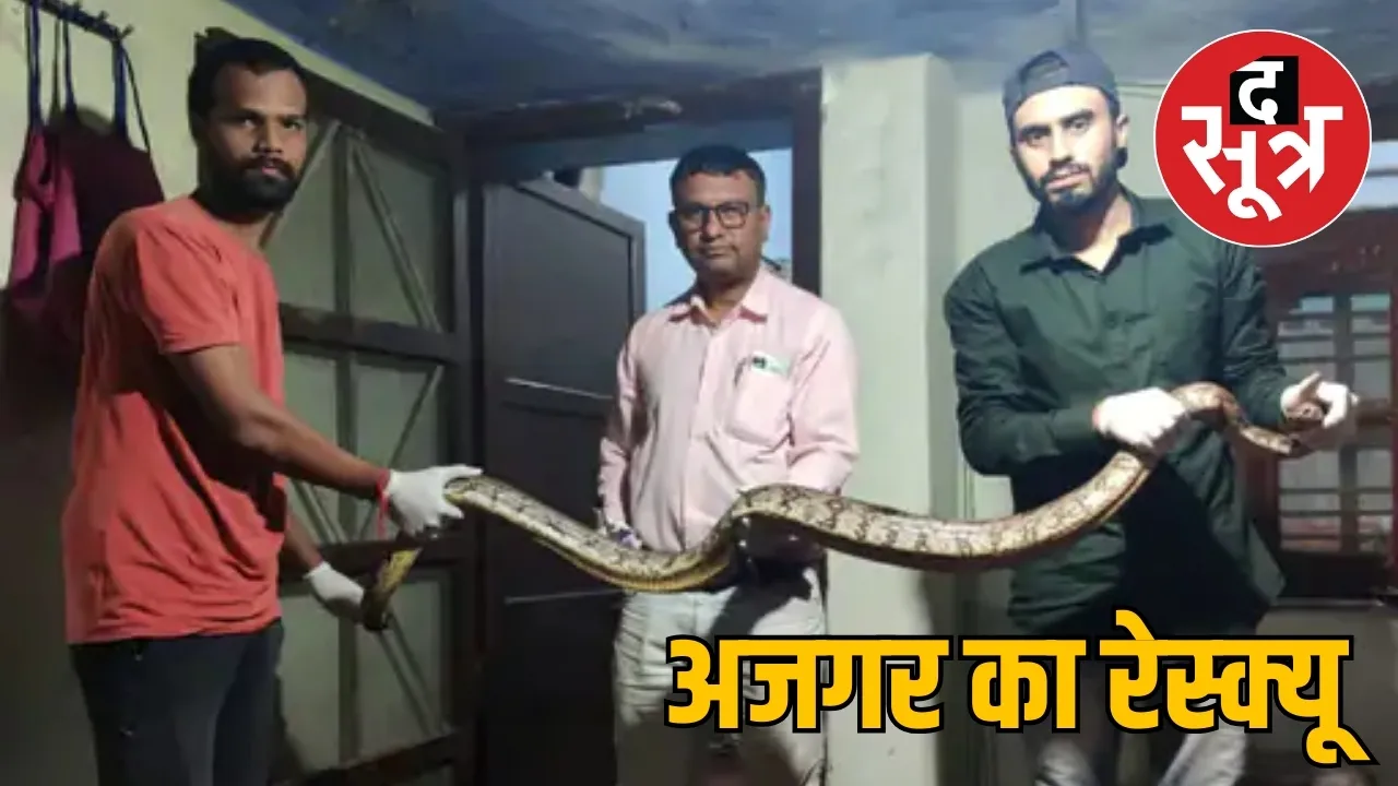 अजगर का रेस्क्यू