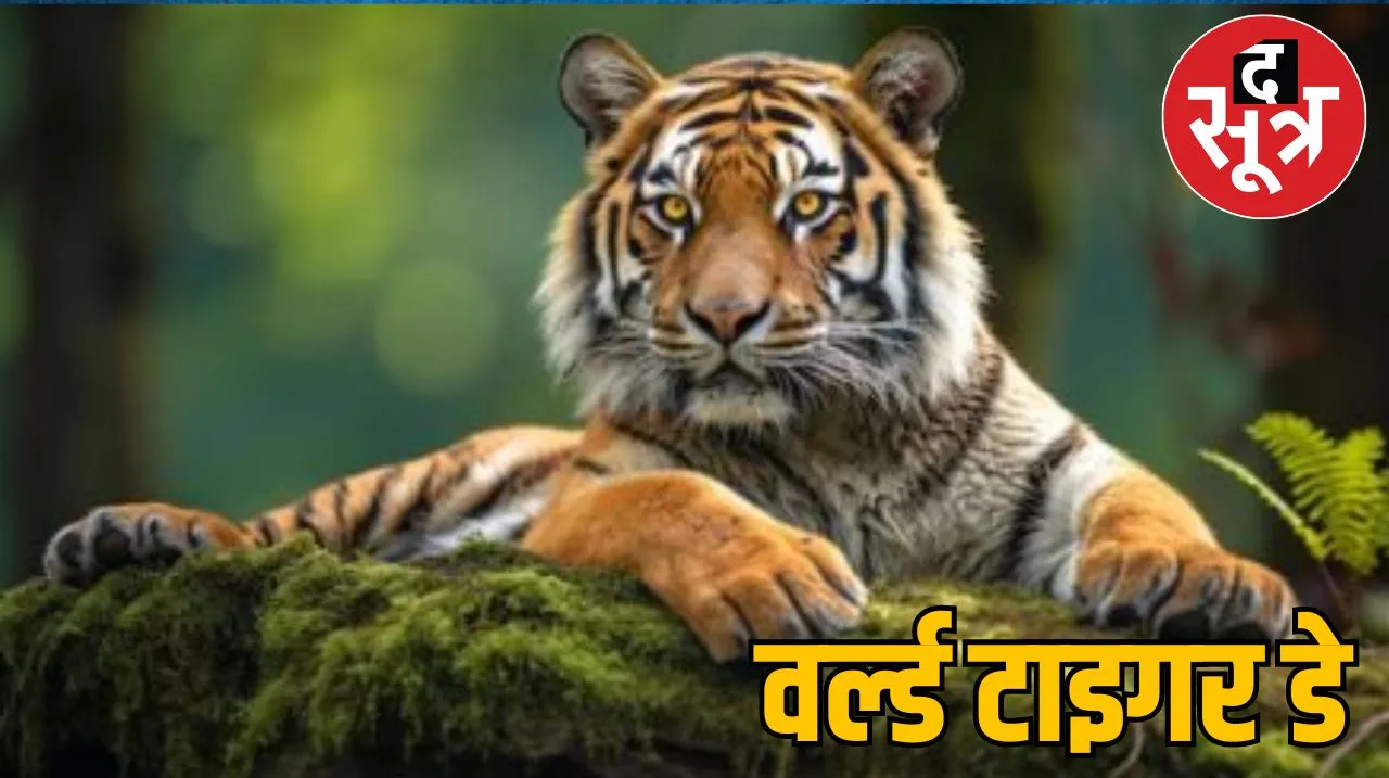 International Tiger Day