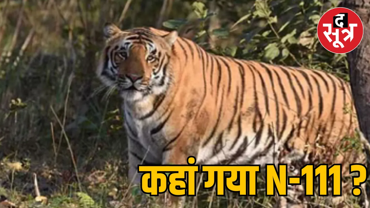 MP Bhopal Rani Durgavati Tiger Reserve tiger Missing Case
