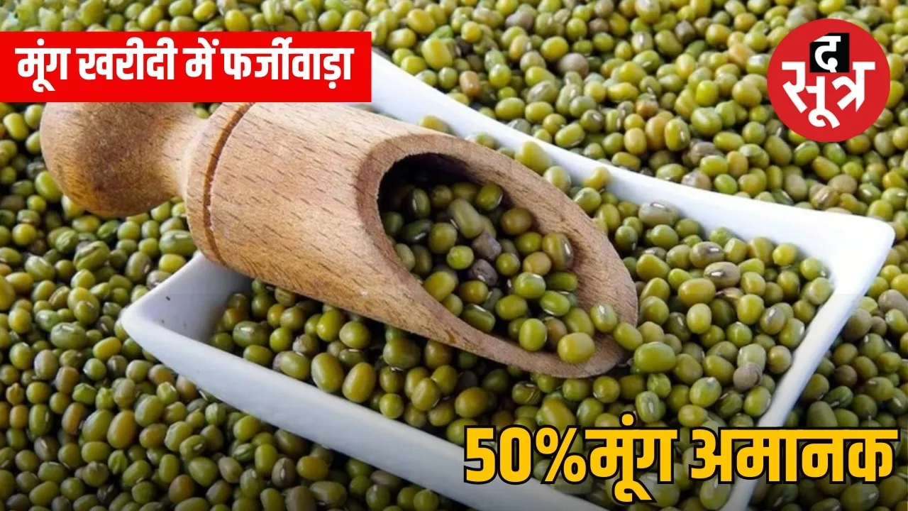 मूंग खरीदी में फर्जीवाड़ा