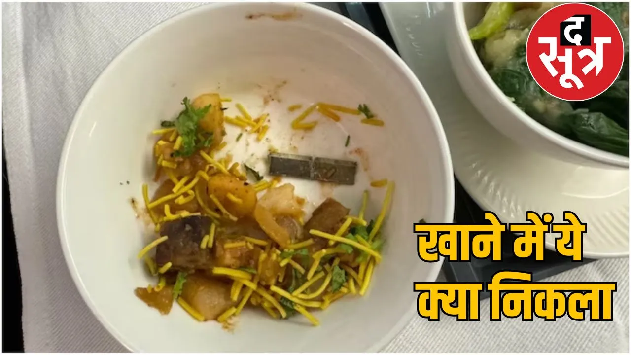 AIR INDIA INTERNATIONAL Flight BLADE FOOD QUALITY द सूत्र