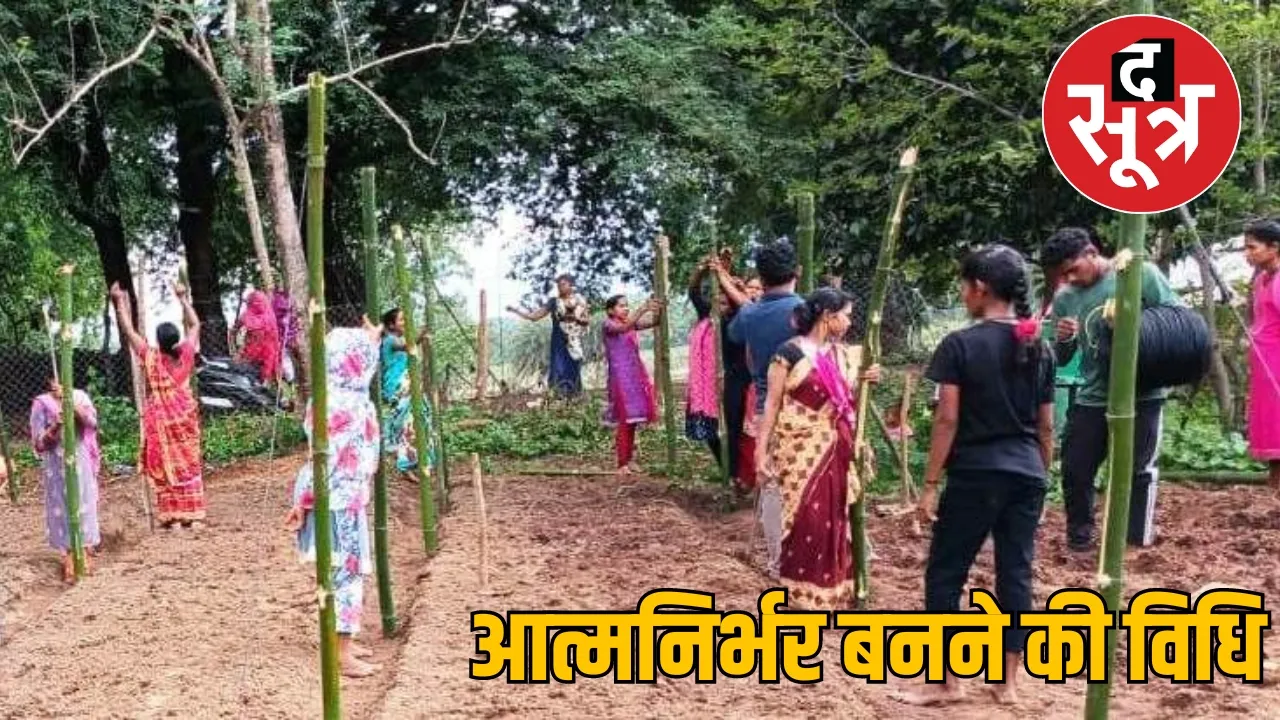 Chhattisgarh News Scaffolding Method Vegetable Production द सूत्र