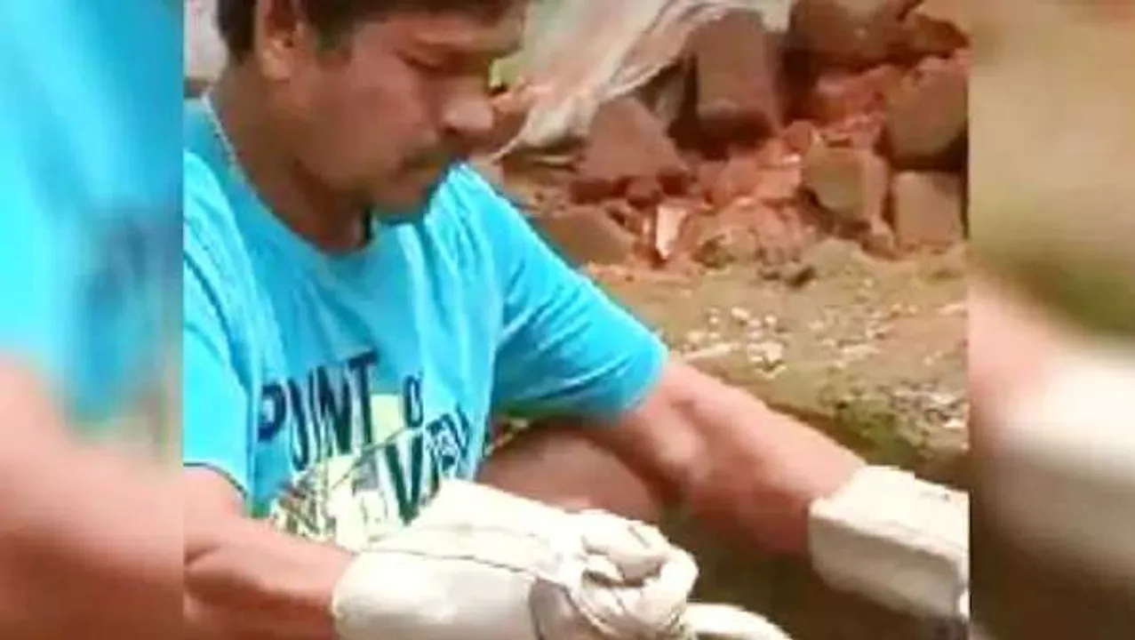 छिंदवाड़ा: सांप पकड़ने वाला ही दंश का शिकार, रेस्क्यू के दौरान कोबरा ने डसा, अस्पताल में मौत 
