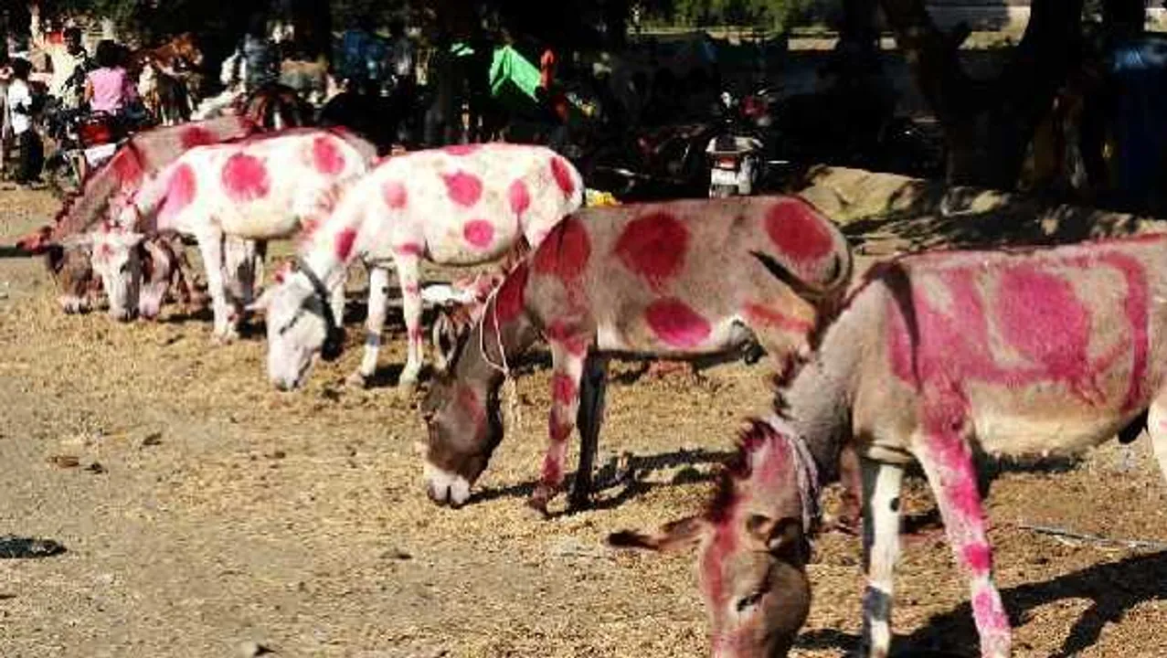 ऐसा भी होता है: 34 हजार में कहा बिक गए 'कंगना-आर्यन', 11 हजार में बिका 'वैक्सीन'