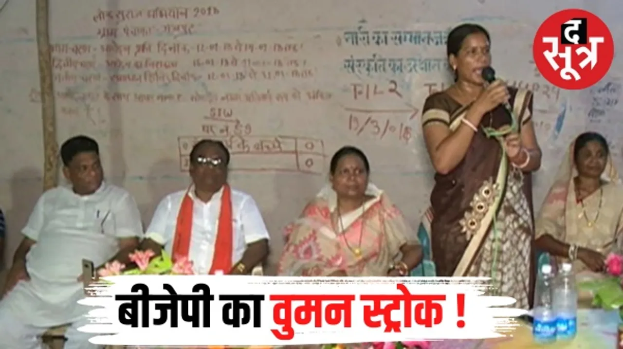 रायगढ़ लोकसभा की 8 विधानसभा सीटों पर बीजेपी ने साधा समीकरण, 50 फीसदी महिलाओं के साथ जातियों पर भी खेला दांव