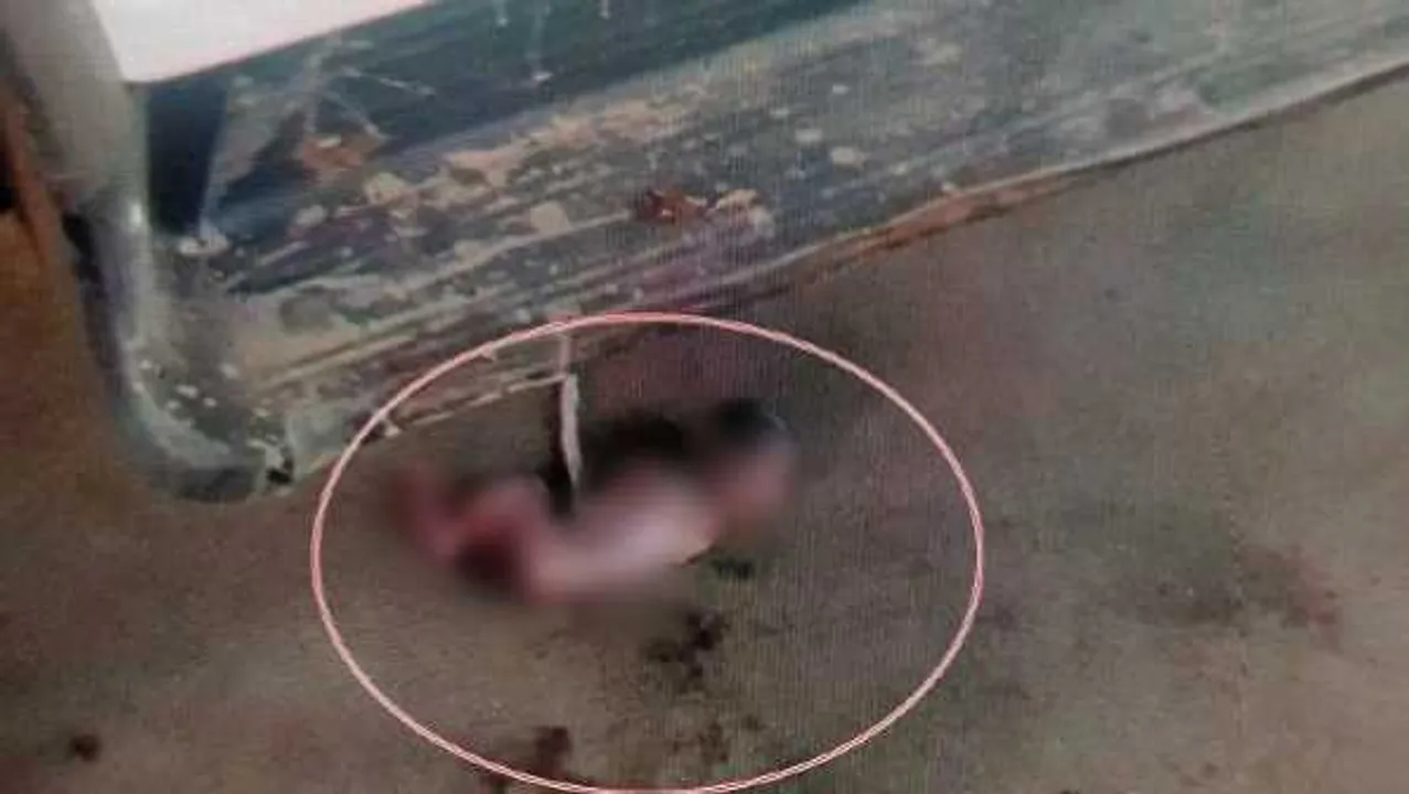 मुरैना: नवजात को एंबुलेंस के नीचे फेंका, बच्ची के शरीर पर लग गई थी चीटियां, भर्ती