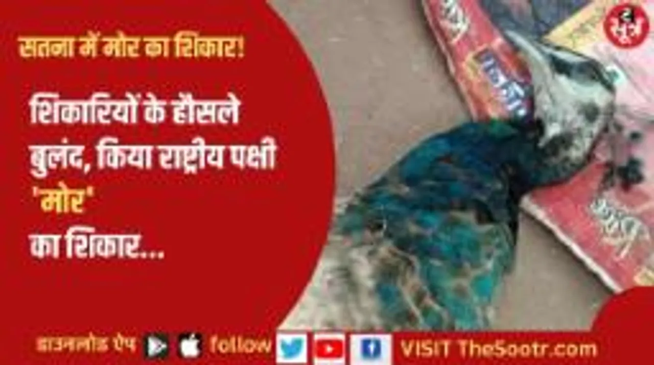  शिकारियों ने दाना डाला, गर्दन मरोड़ी..किया राष्ट्रीय पक्षी का शिकार...जानिए कहां... इसके अलावा पूरे प्रदेश के क्या हैं हाल...