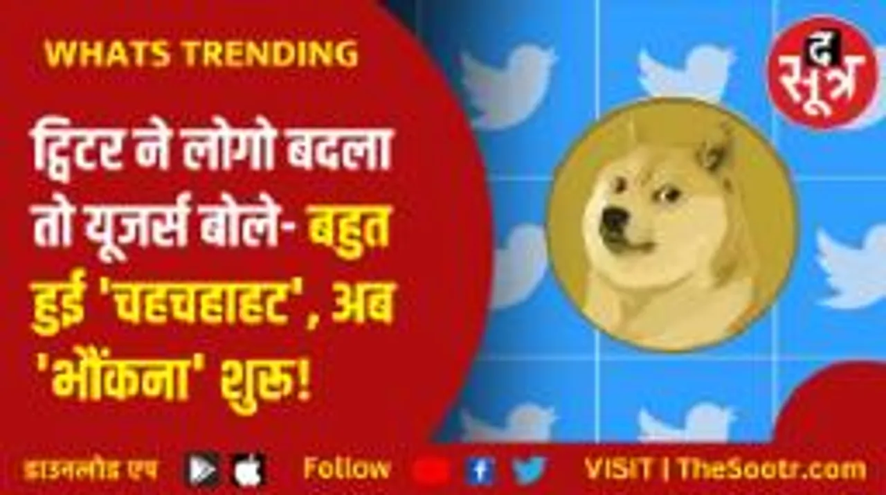 एलन मस्क ने ट्विटर से उड़ा दी चिड़िया, नए लोगो को लेकर सोशल मीडिया पर बने बेतहाशा मीम्स 