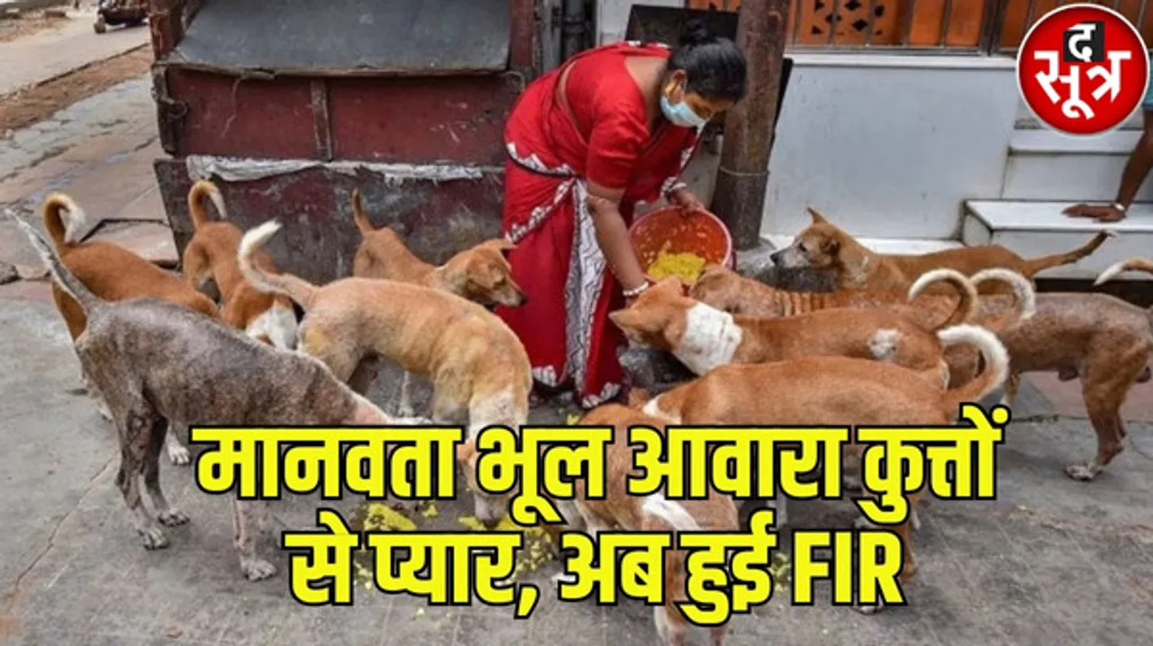 मध्यप्रदेश में पहली बार 5 डॉग लवर्स पर FIR, जानें कौन-कौन से लगाए गए हैं आरोप, सीएम ने कहा था इस तरह की घटना दोबारा न हो