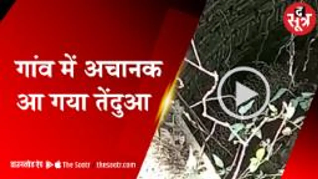जंगली जानवरों को भी सताने लगी प्यास, रिहायशी इलाके में तेंदुआ की दस्तक 