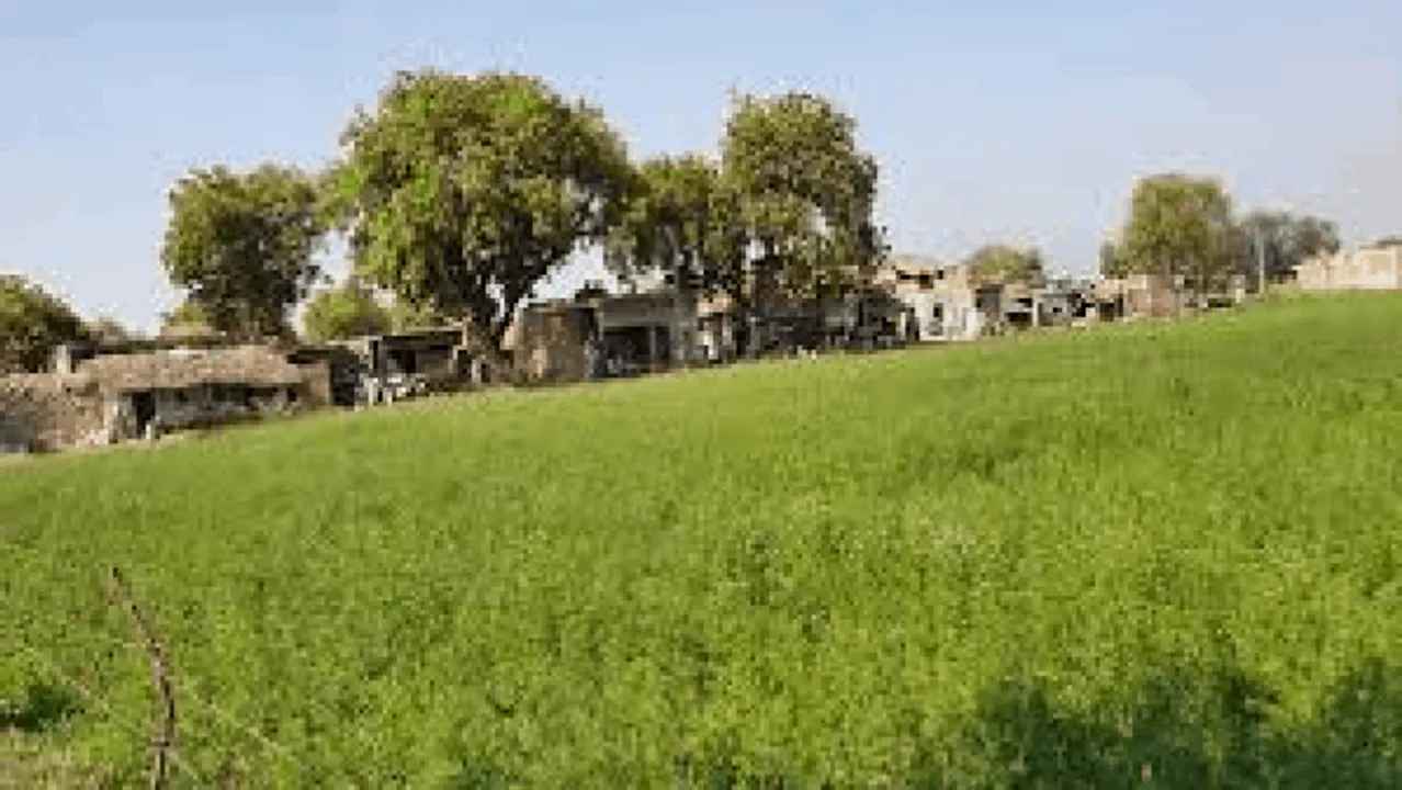 खेती के कुछ उपाय: जुताई के तरीके जिससे जमीन रहेगी उर्वरक और खर्च भी होगा कम
