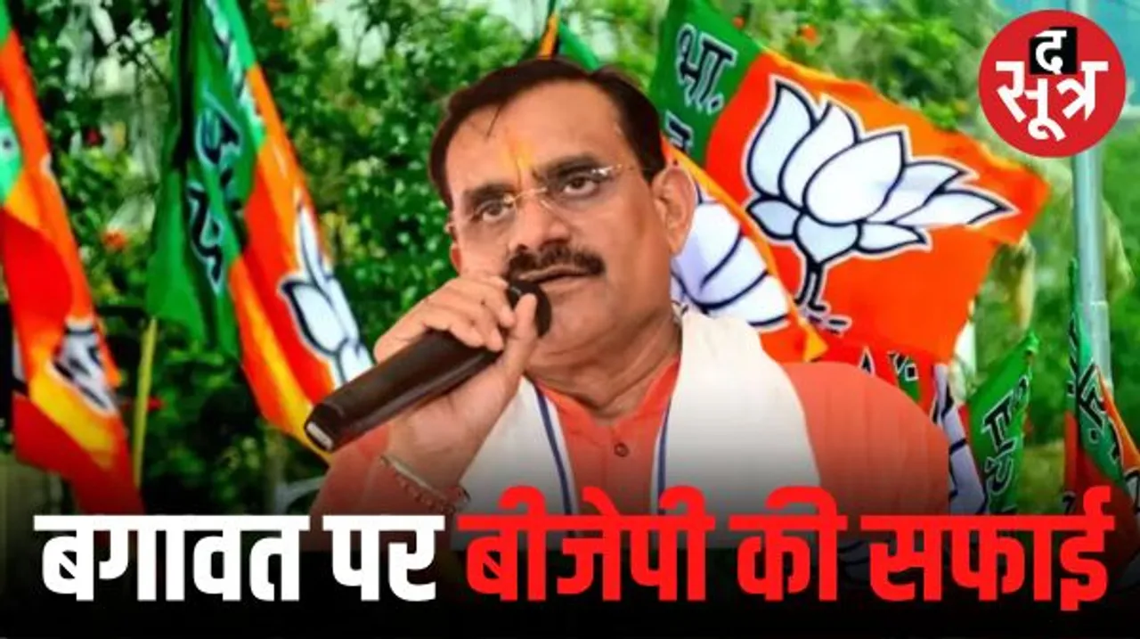 बीजेपी में बगावत पर वीडी इंदौर में बोले- कार्यकर्ता कभी-कभी तेज आवाज या गुस्से में बोल जाता है; रंजना के आरोप पर कैलाश ने दी सफाई