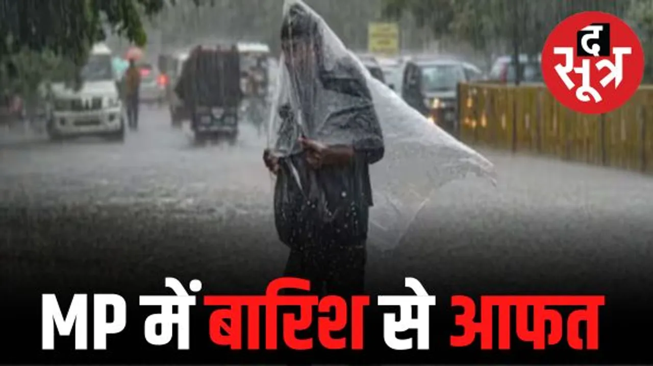 मप्र में बारिश से बाढ़ जैसे हालात,उफान पर नदी-नाले, ओंकारेश्वर डैम के 23, इंदिरा सागर के 20 गेट खुले, अलर्ट जारी