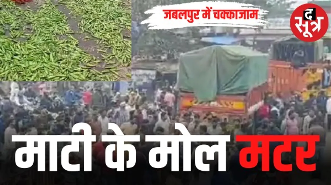 जबलपुर में लागत से कम दाम मिलने पर किसानों ने सड़क पर फेंकी मटर, सीएम के हस्तक्षेप से 16 घंटे बाद खत्म हुआ जाम