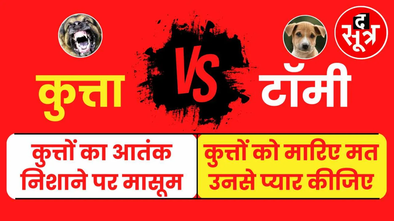 राजधानी भोपाल में कुत्तों का आतंक