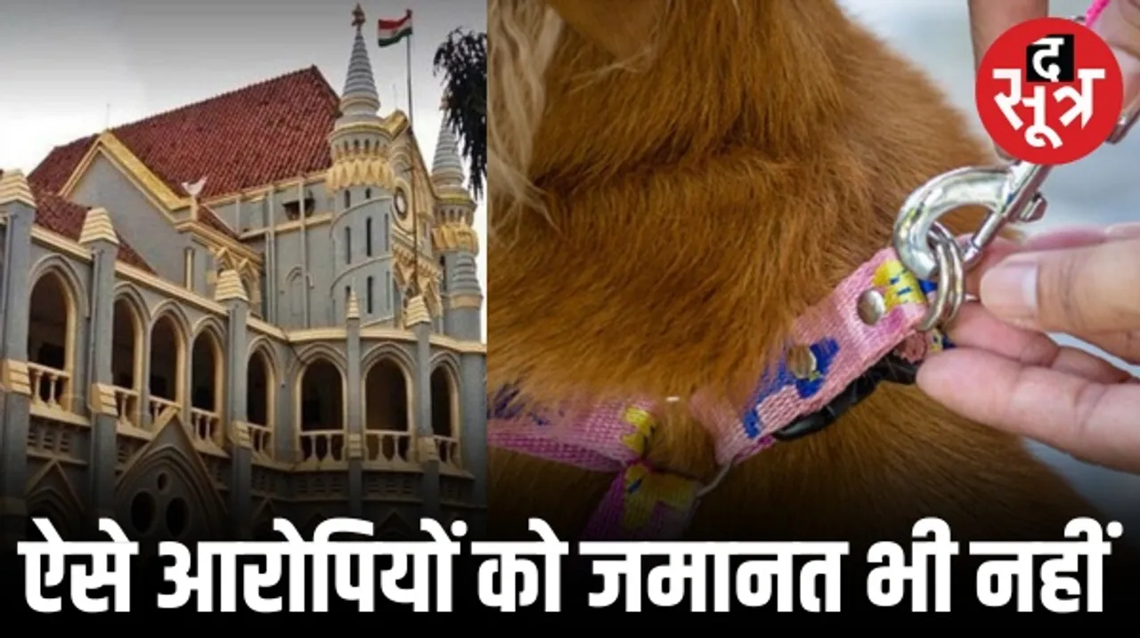 भोपाल में कुत्ते का पट्टा पहनाकर युवक को पीटने वाले 2 आरोपियों को जमानत नहीं, हाईकोर्ट में सुनवाई के बाद याचिका खारिज
