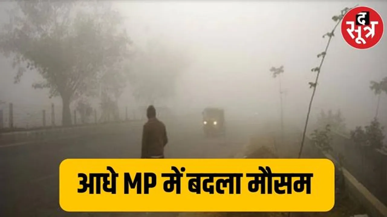 MP में छाया कोहरा, कहीं बारिश तो कहीं ओले गिरने की संभावना, छत्तीसगढ़ में भी पड़ रही कपकपाने वाली शर्दी