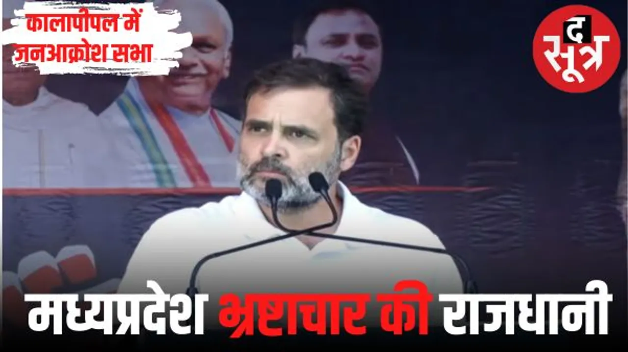 'हिंदुस्तान में सबसे ज्यादा भ्रष्टाचार मध्यप्रदेश की BJP सरकार में हुआ', राहुल बोले- देश में जब 50 % ओबीसी तो भागीदारी कम क्यों?