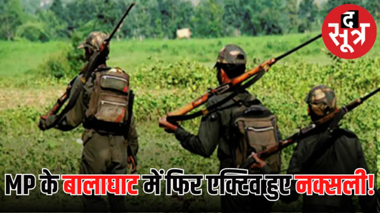 MP विधानसभा चुनाव से पहले बालाघाट में फिर एक्टिव हुए नक्सली! पूर्व सरपंच के मुंह में गोली मारकर हत्या