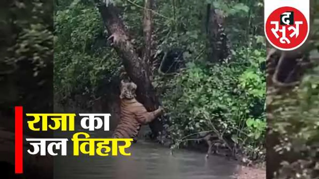 जयस में दो फाड़: विधायक अलावा और बाकि मेंबर्स के अपने अपने दावे, किसको मिलेगा फायदा