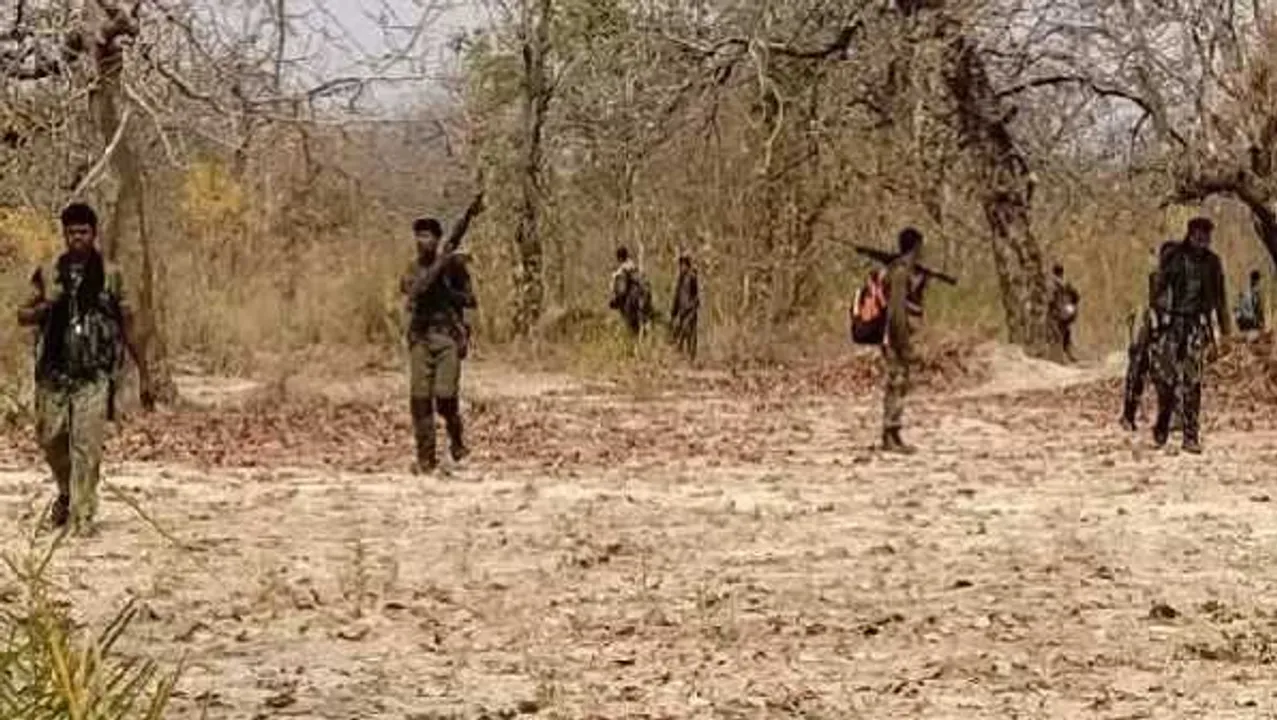 महाराष्ट्र: गढ़चिरौली के जंगलों में पुलिस और नक्सलियों की मुठभेड़, 26 नक्सली मारे गए