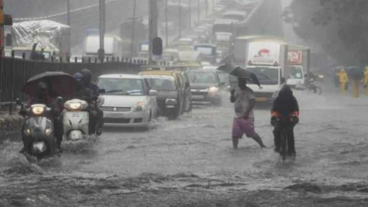 MP में बारिश: मूसलाधार बरसात से नदियां उफान पर, मौसम विभाग ने 18 जिलों में जारी किया अलर्ट 