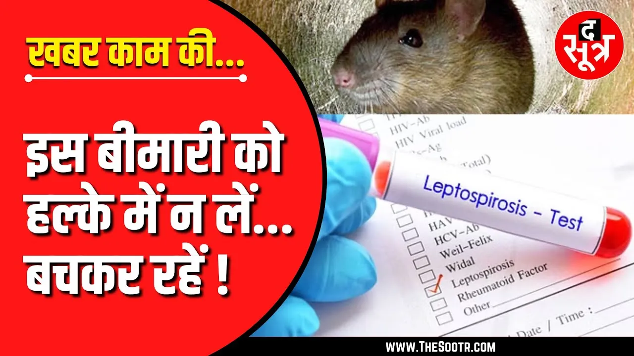 खबर काम की | चूहे कितने हो सकते हैं खतरनाक, इसे बिल्कुल न करें नजरअंदाज ?