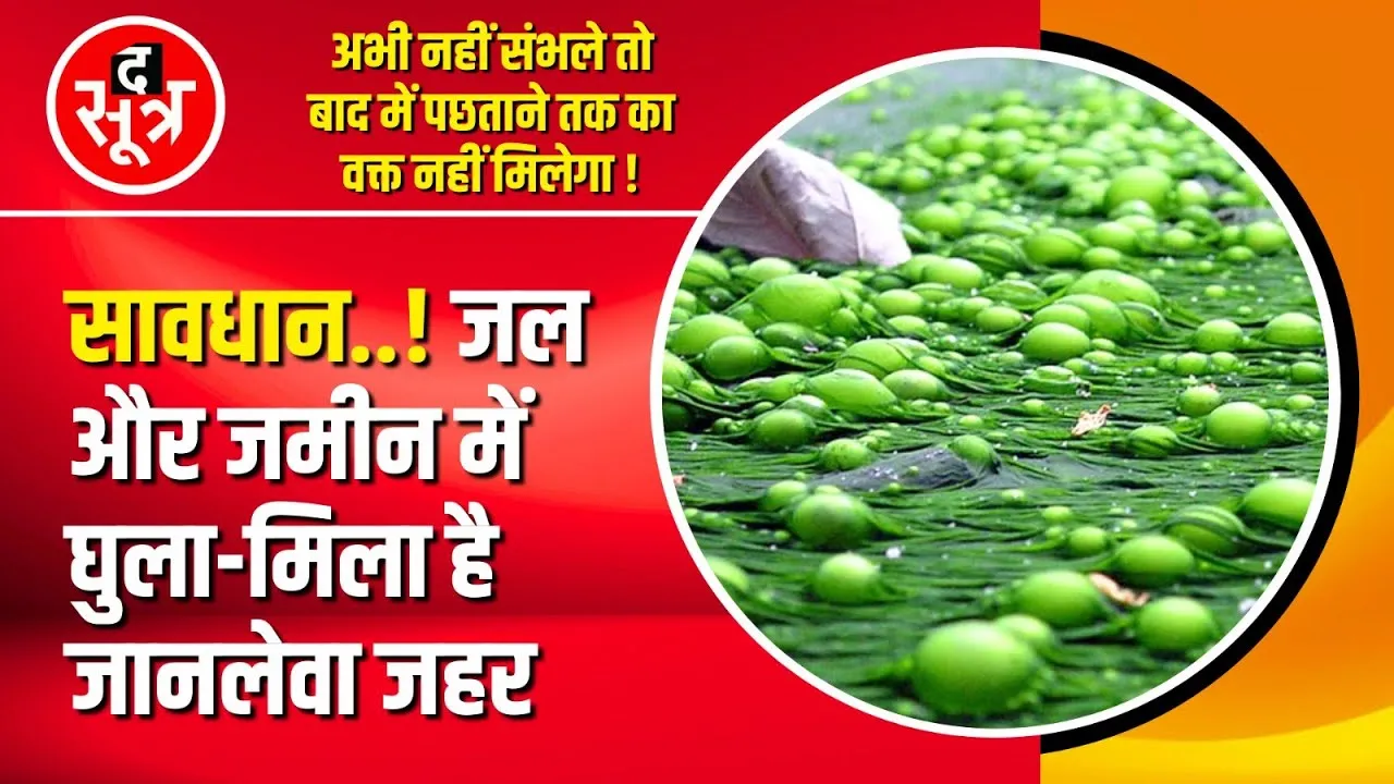 Alarming News | रासायनिक खाद...मौ*त का सौदा | MP News | Attention