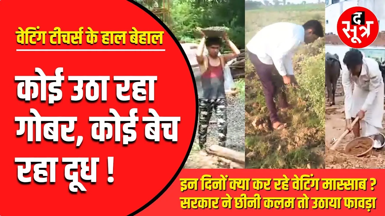 इन दिनों क्या कर रहे Waiting Teachers | कोई ठो रहा गोबर, कोई कर रहा मजदूरी