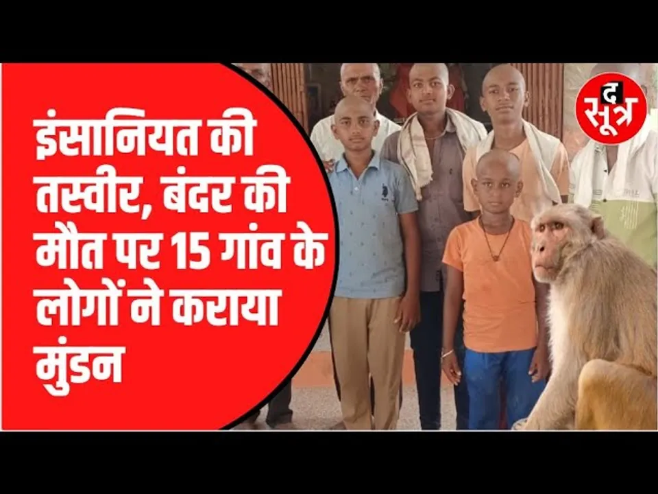 Monkey की मौत पर रो पड़े ग्रामीण, रीति-रिवाज से दी विदाई, देखिए वीडियो