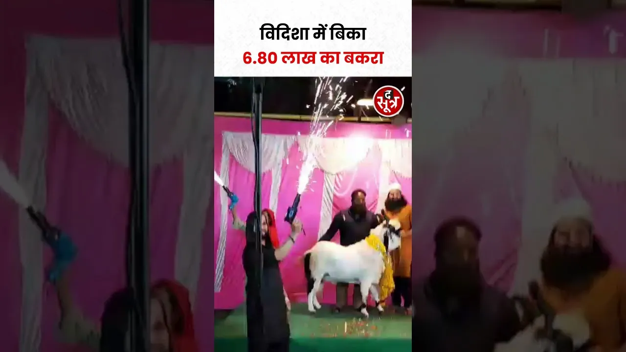 विदिशा में बिका  6.80 लाख का बकरा #shorts