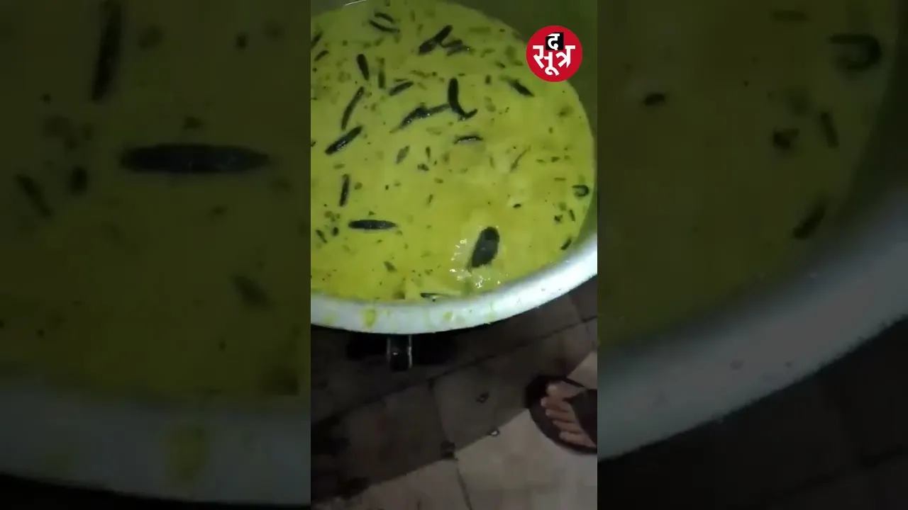 तेलंगाना : कॉलेज हॉस्टल के खाने में मिला जिंदा चूहा #shorts
