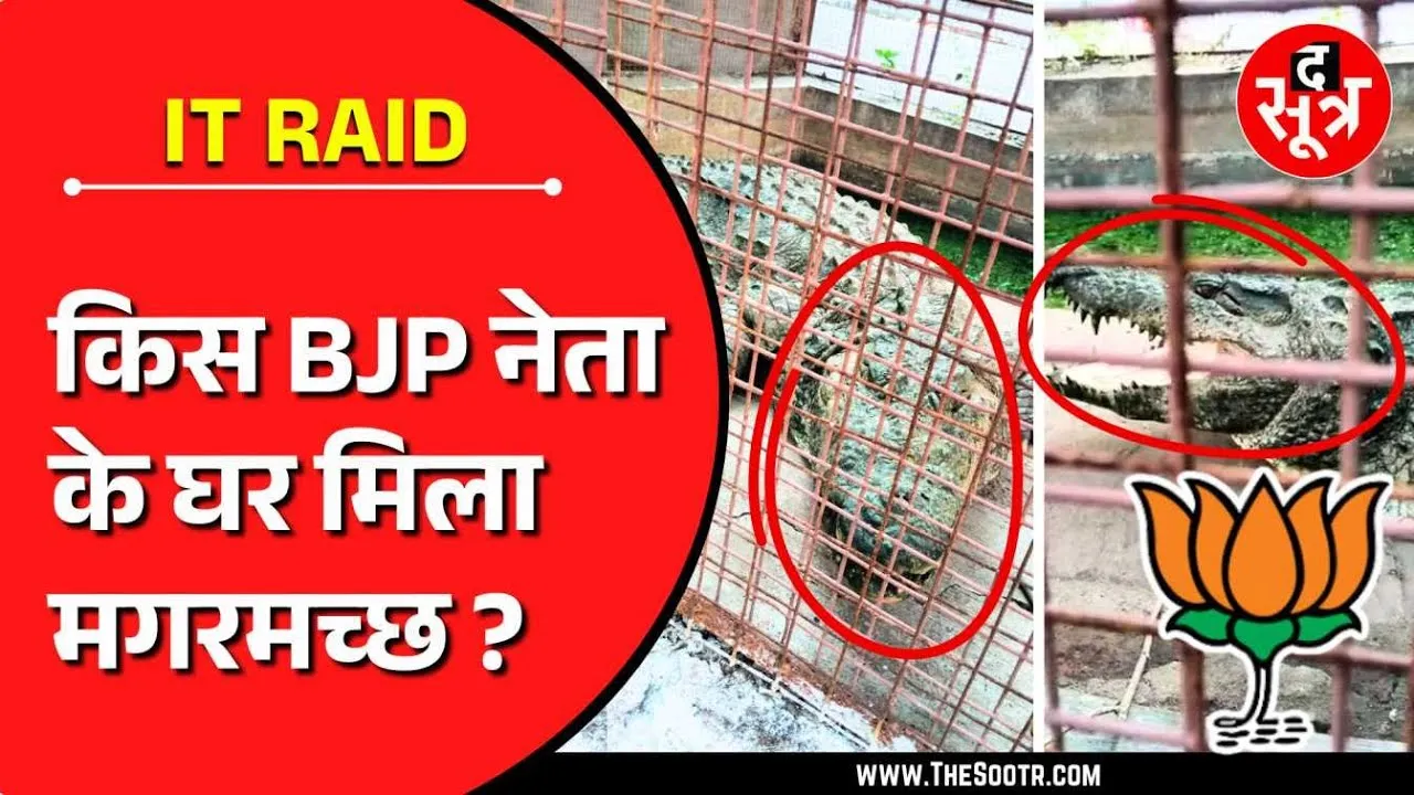 MP News | IT Raid | BJP के पूर्व विधायक ने घर में पाल रखे थे 3 मगरमच्छ