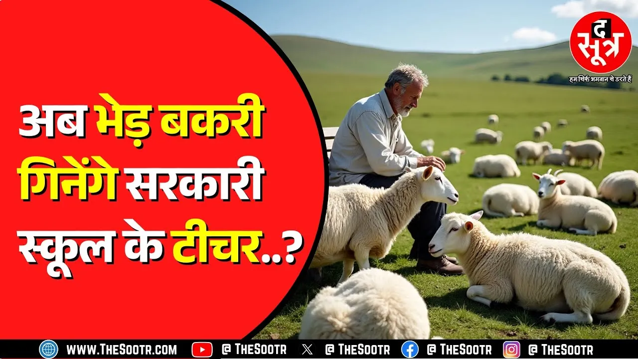 सरकारी स्कूल के टीचरों को अब भेड़ गिनने का काम | पढ़ाएंगे कब सरकार ? Rajasthan News